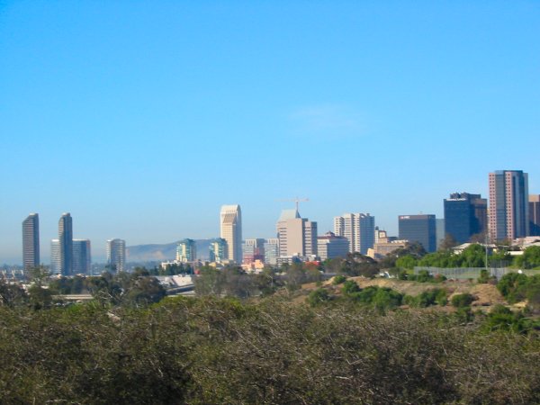 San Diego Skyline